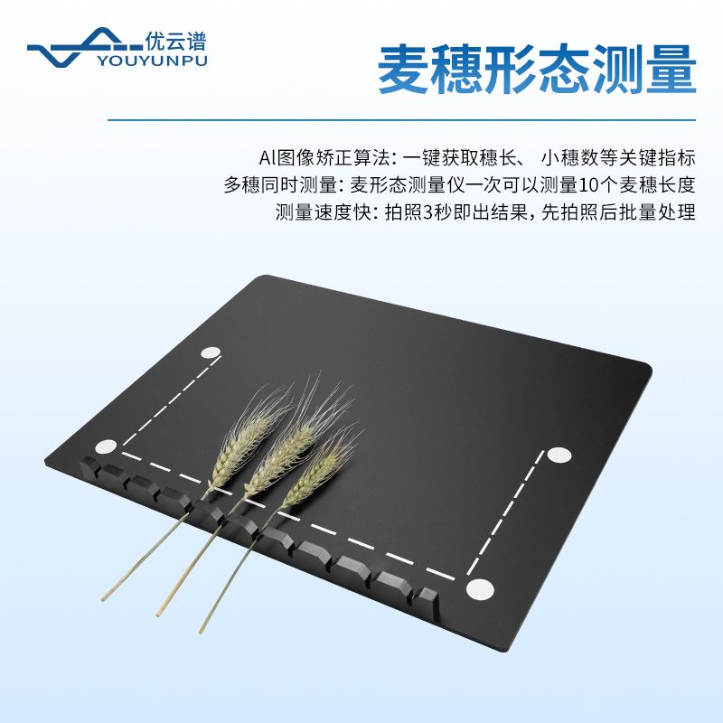 小麥畝穗數(shù)測量分析系統(tǒng)